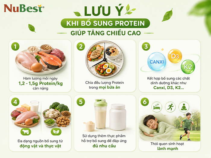 Lưu ý khi bổ sung Protein giúp tăng chiều cao.