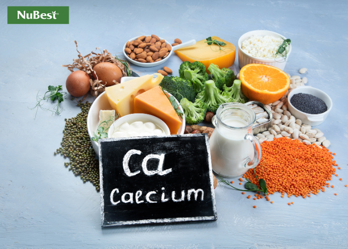 Gợi ý các thực phẩm giàu Canxi trong các bữa ăn hàng ngày&nbsp;