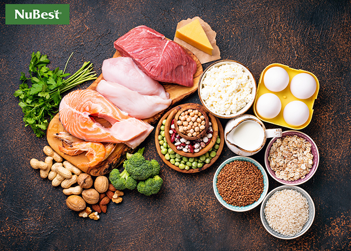 Gợi ý nguồn thực phẩm giàu chất đạm và Collagen&nbsp;