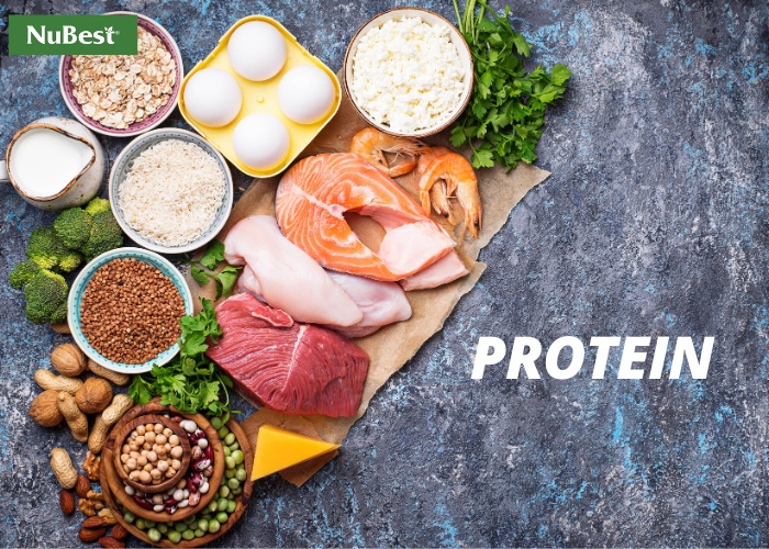 Bổ sung hàm lượng protein với các thực phẩm từ thịt, cá, trứng, ngũ cốc…