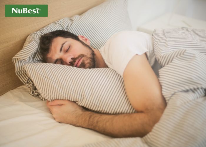 Ngủ ban ngày mang đến cho cơ thể nhiều tác hại nguy hiểm