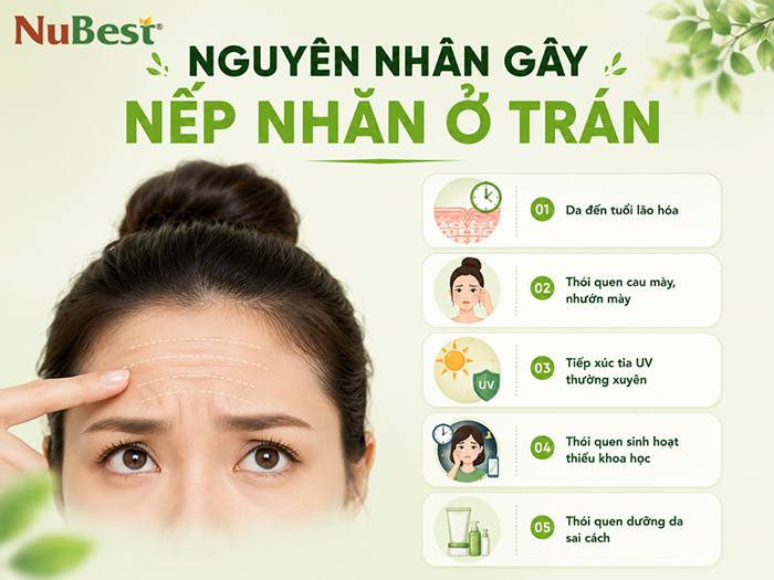Những nguyên nhân chính gây nếp nhăn ở trán