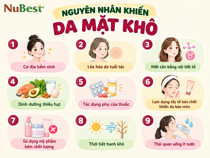 Nguyên nhân chủ yếu khiến da mặt bị khô.