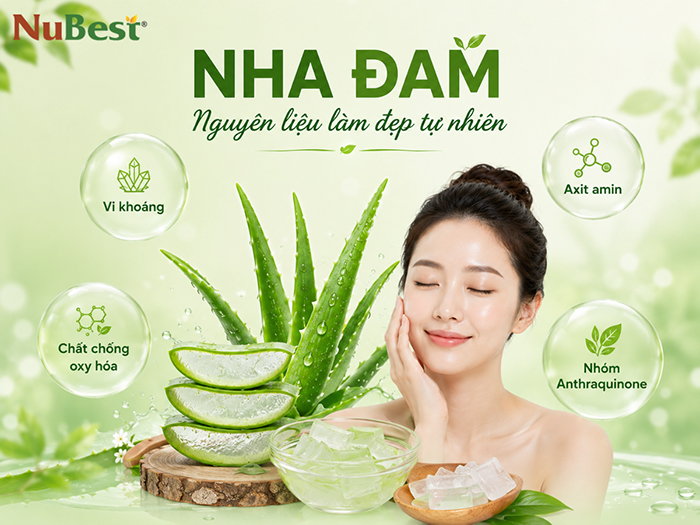 Nha đam chứa nhiều dưỡng chất giúp làm đẹp da hiệu quả