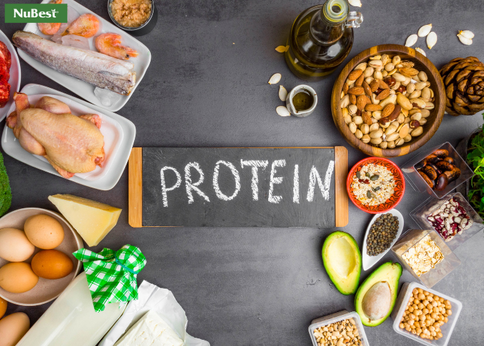 Bổ sung hàm lượng đạm dồi dào cho cơ thể tăng trưởng vượt bậc&nbsp;