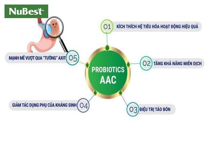 Probiotics có nhiều tác dụng đối với sức khoẻ