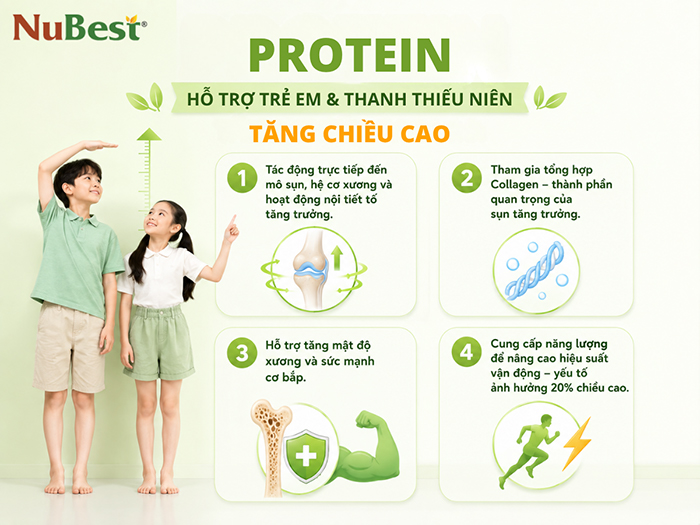 Protein hỗ trợ trẻ em và thanh thiếu niên bứt phá chiều cao.