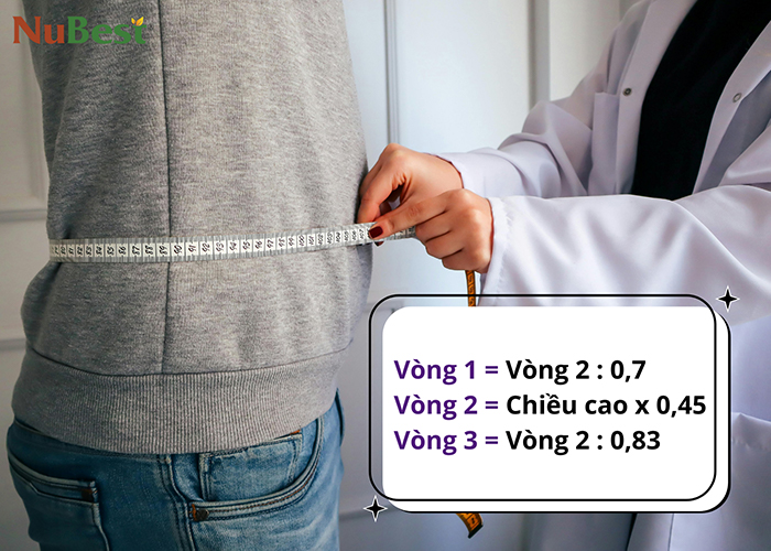 Số đo 3 vòng chuẩn có thể tính dựa trên chiều cao