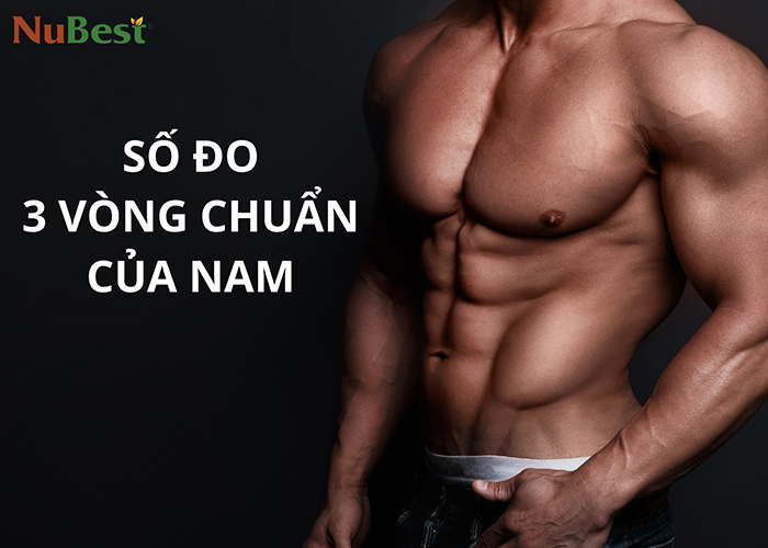 Hiểu số đo 3 vòng chuẩn của nam là bao nhiêu hỗ trợ cải thiện vóc dáng