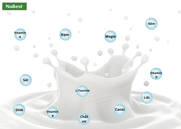Ưu tiên chọn những dòng sữa giàu dưỡng chất với hàm lượng các vi khoáng có lợi cho quá trình phát triển chiều cao 