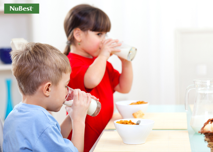 Sữa - thức uống thiết yếu mang nguồn dưỡng chất có lợi cho quá trình phát triển cơ thể toàn diện
