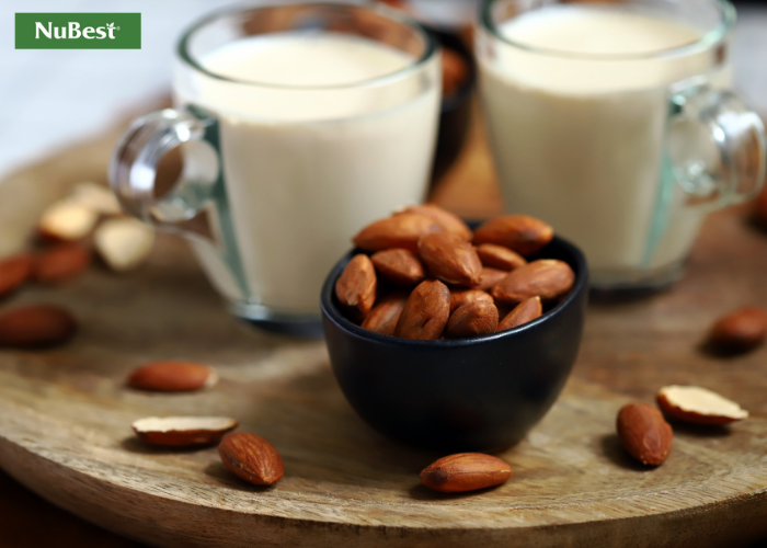 Đối với những trẻ dị ứng thành phần lactose trong đạm động vật có thể chọn sữa thực vật từ các loại hạt