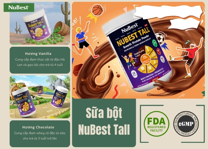 Sữa bột NuBest Tall có 2 hương vị Chocolate và Vanilla thơm ngon, giàu dinh dưỡng