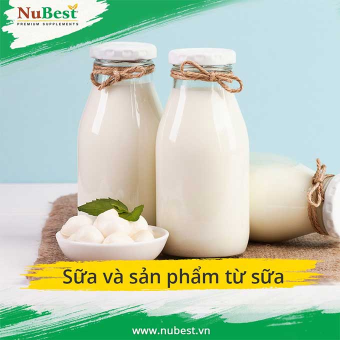 sữa và các sản phẩm từ sữa là thành phần không thể thíu trong thực đơn tăng chiều cao cho trẻ