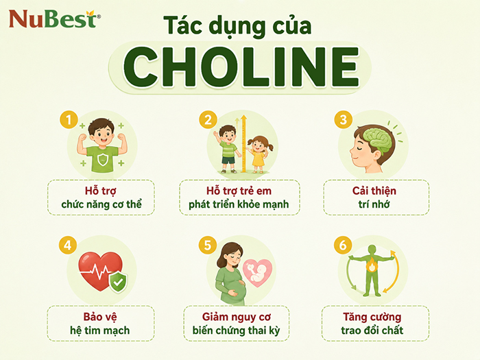 Lợi ích sức khỏe Choline mang lại.
