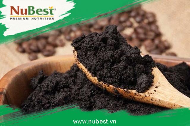 Thành phần dưỡng chất của bã cà phê giúp dưỡng ẩm, tăng độ đàn hồi, kích thích tái tạo da