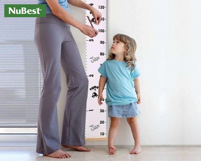 Đo chiều cao cho trẻ thường xuyên để đánh giá tốc độ phát triển