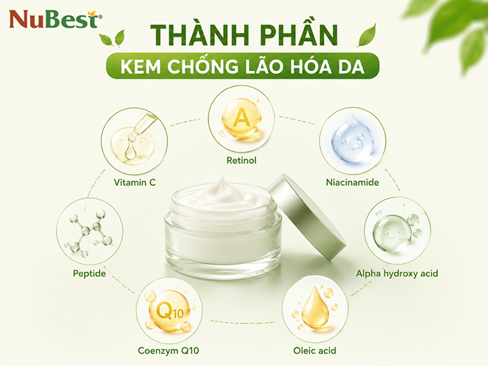 Thành phần thường có trong kem chống lão hóa da.