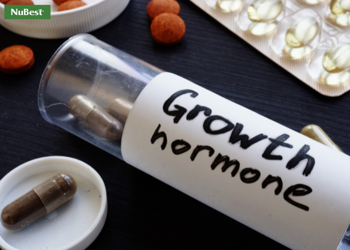 Các hormone tăng trưởng hoạt động tương tác với nhau cùng hỗ trợ xương khớp tăng trưởng mạnh mẽ