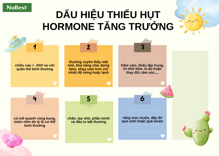 Liệt kê 6 dấu hiệu biểu hiện tình trạng thiếu hụt hormone tăng trưởng