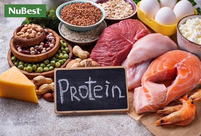 Protein cung cấp năng lượng cho cơ thể 