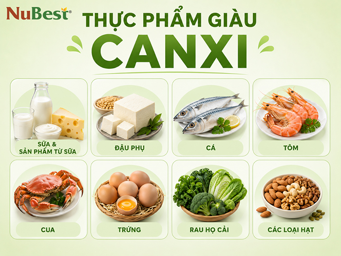 Thực phẩm giàu Canxi nên có trong chế độ ăn hằng ngày.