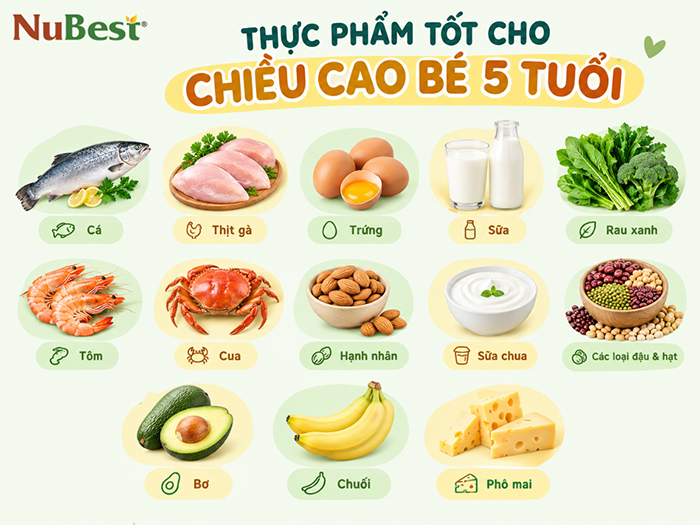 Các thực phẩm tốt cho chiều cao của bé 5 tuổi.