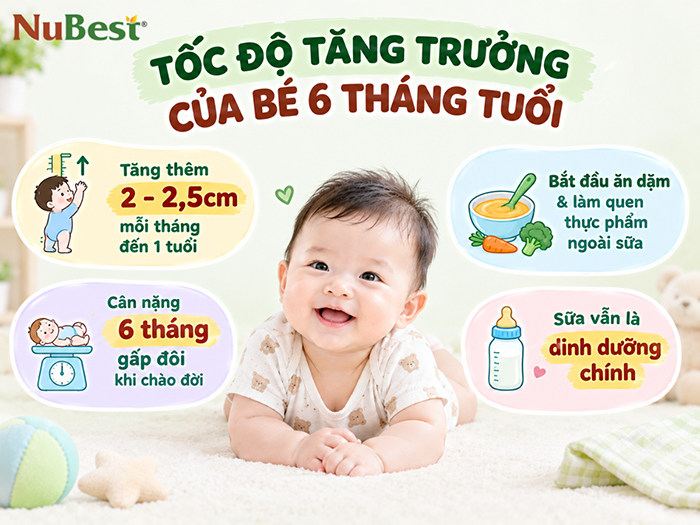 Đặc trưng tăng trưởng của các bé 6 tháng tuổi.