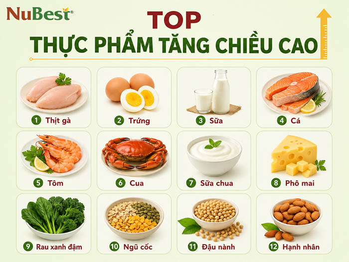 Thực phẩm giàu dinh dưỡng cần có trong thực đơn tăng chiều cao.