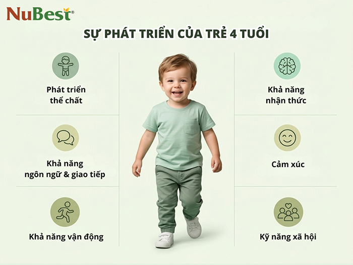 Những điểm nổi bật về sự phát triển của trẻ 4 tuổi.