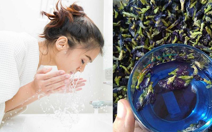 Nên lựa chọn loại hoa đậu biếc chất lượng để đảm bảo an toàn trong quá trình làm đẹp