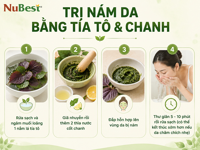 Cách trị nám bằng lá tía tô kết hợp nước cốt chanh tươi.