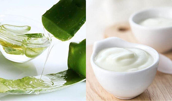 Công thức trị nám bằng nha đam và sữa chua rất thích hợp cho mọi loại da