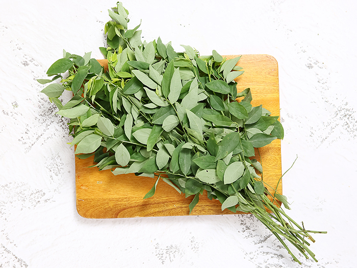 Rau ngót có thể sử dụng như một nguyên liệu chăm sóc da tại nhà