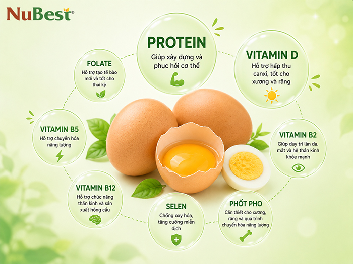 Trứng giàu protein, vitamin D - 2 dưỡng chất cực kỳ quan trọng tăng chiều cao.