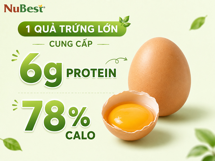 Trứng được xem là thực phẩm bổ sung Protein phổ biến nhất.