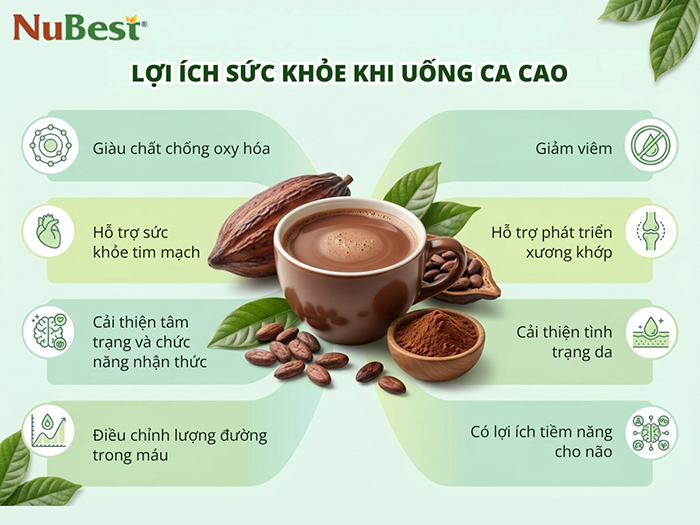 Các lợi ích sức khỏe khi uống ca cao đúng cách.
