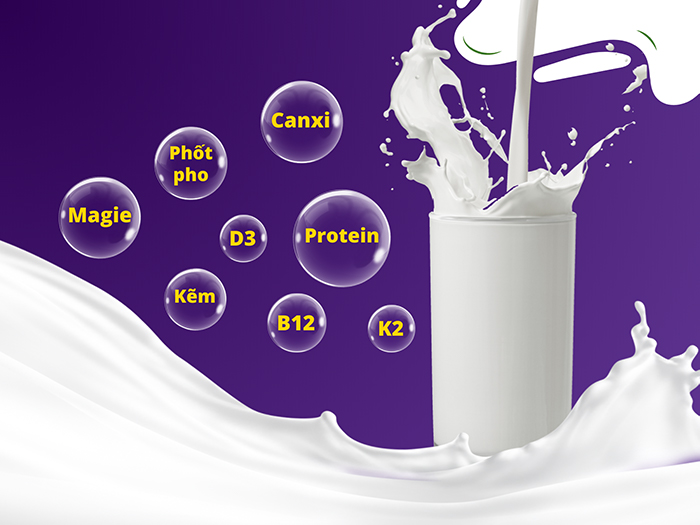 Các dưỡng chất thường thấy trong sản phẩm sữa không đường