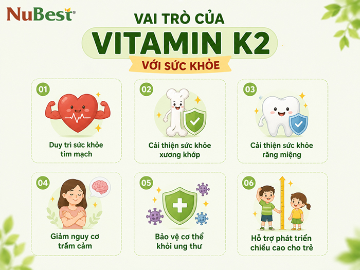 Vitamin K2 tham gia nhiều hoạt động của cơ thể.