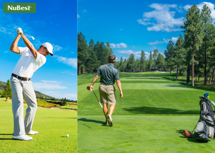 Các tư thế đánh Golf đúng chuẩn hỗ trợ cải thiện dáng vóc, phát triển xương