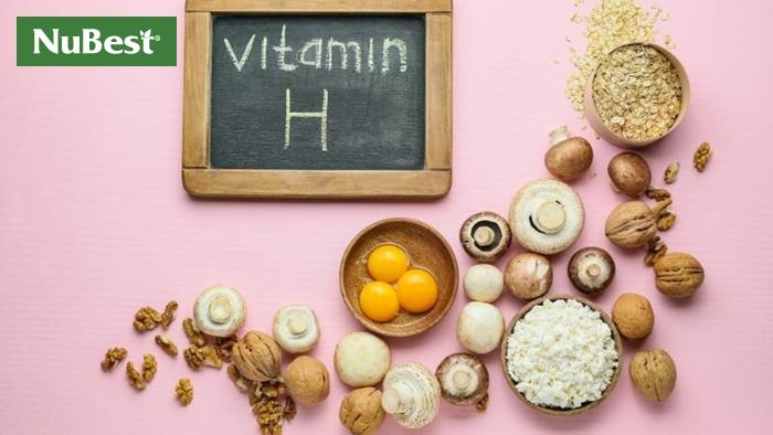 Vitamin H là tên gọi khác của vitamin B7, biotin